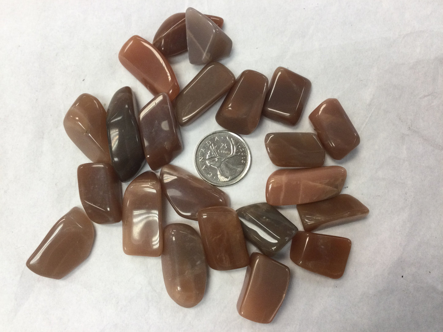Chestnut Moonstone, tumbled