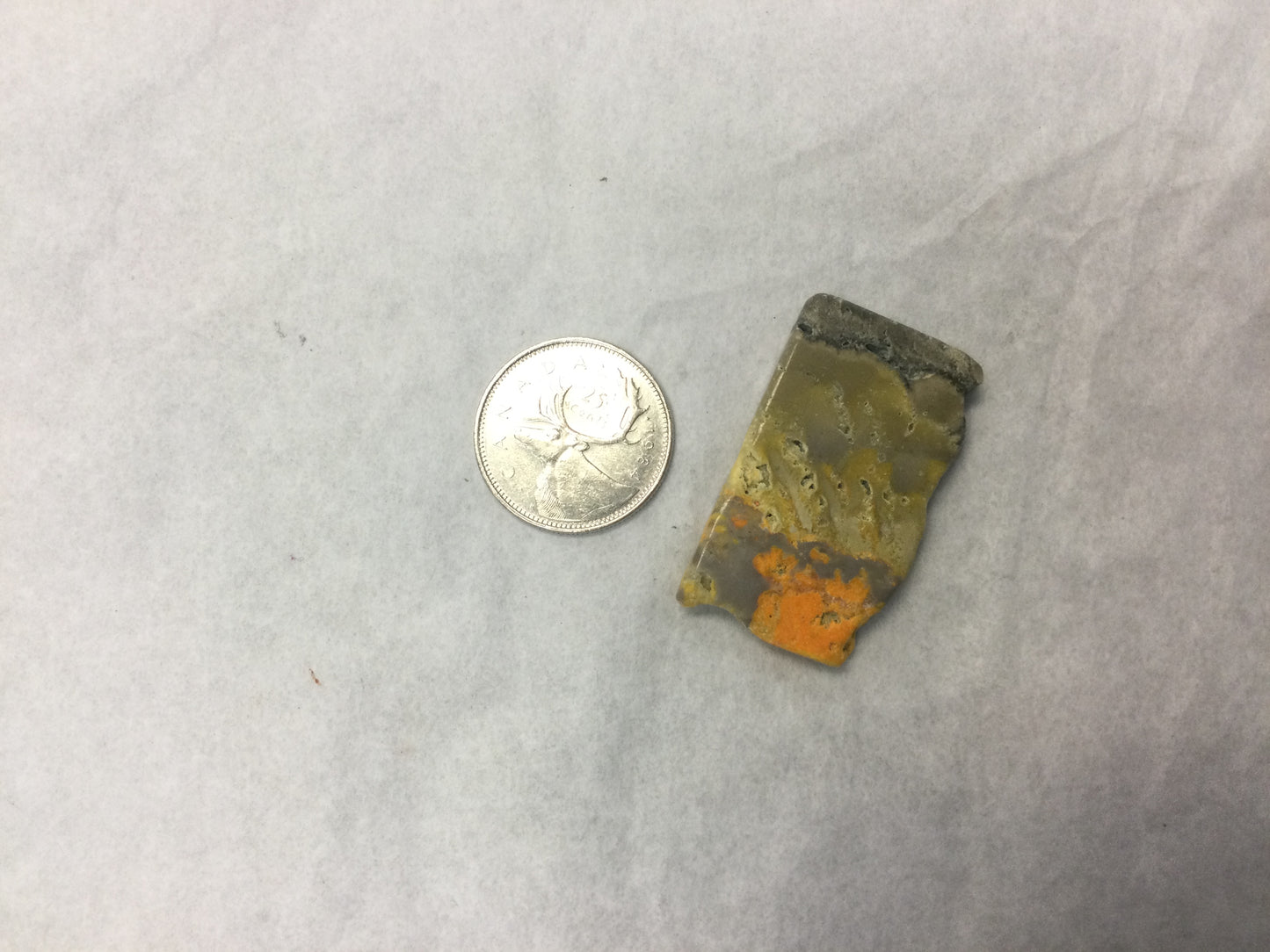 Bumblebee Jasper Slab, Medium