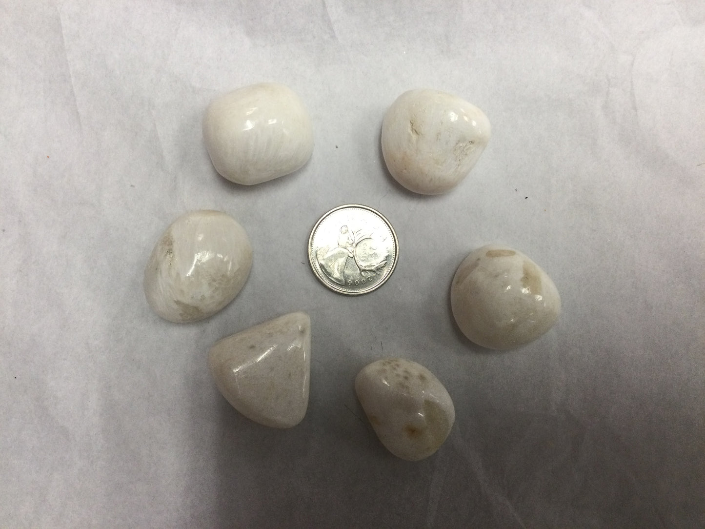 Tumbled Scolecite (small)