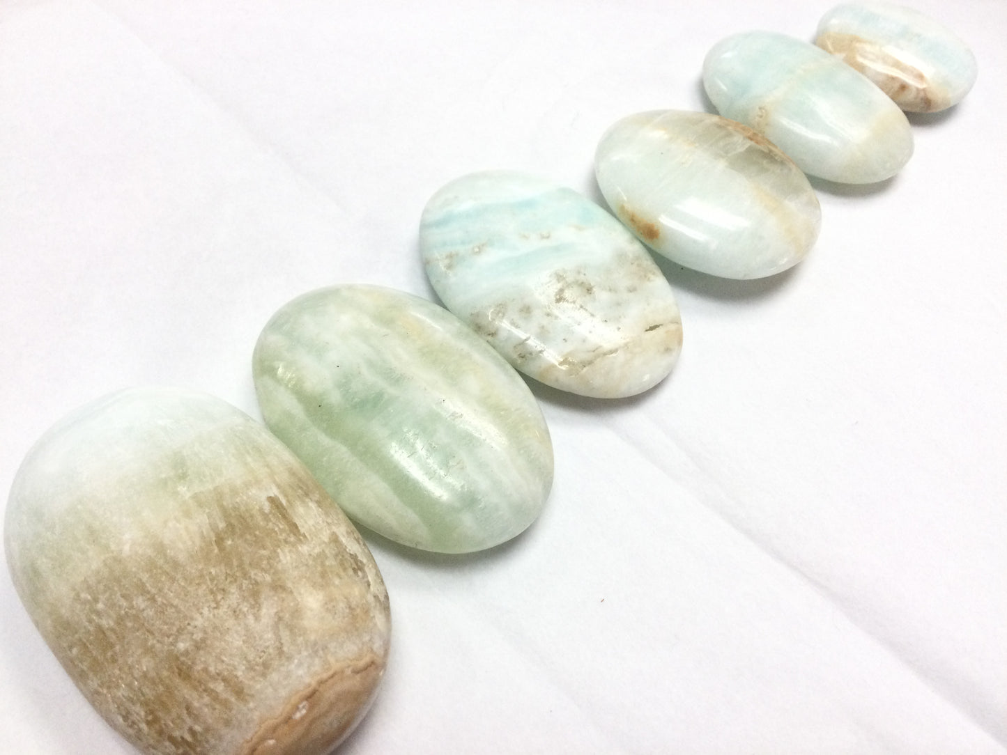 Caribbean Calcite Palm Stones - Various Sizes