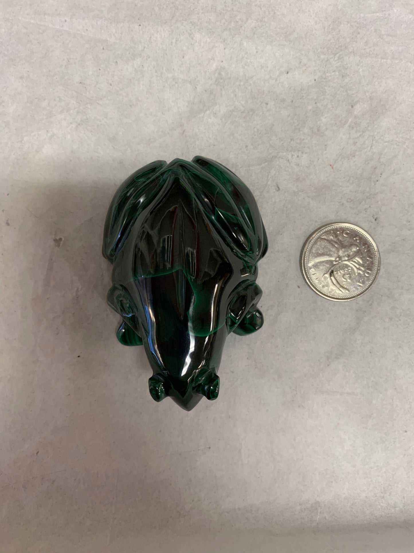 Malachite Frog