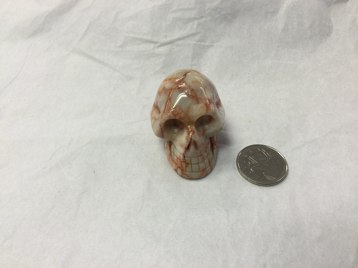 Red Spider Jasper Skull