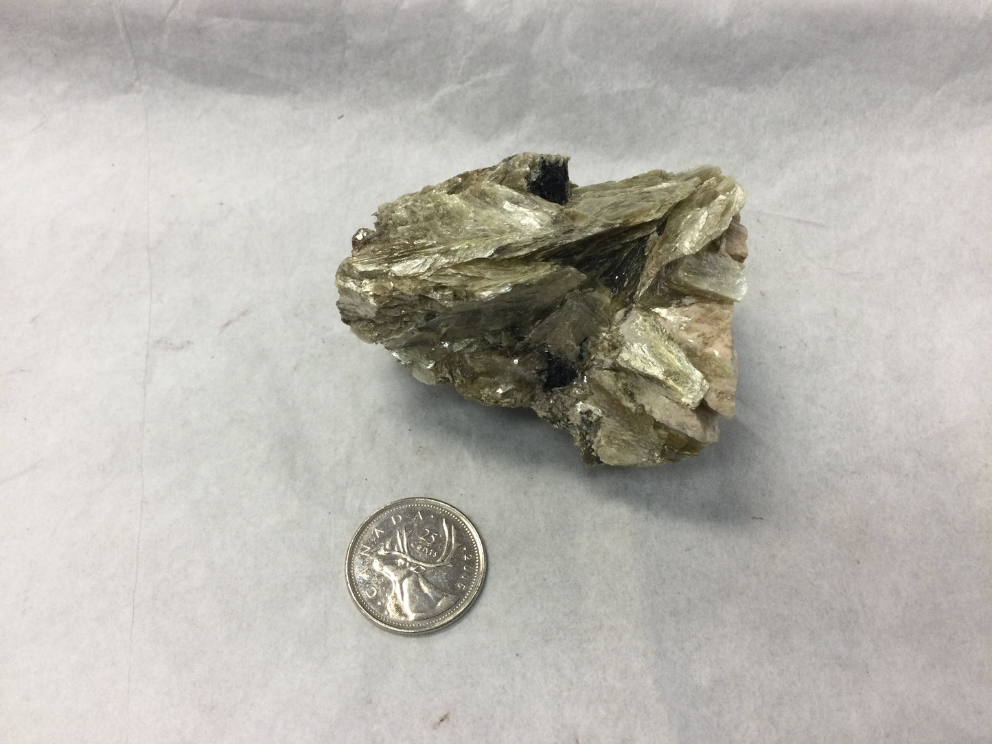 muscovite (Gold Mica)cluster