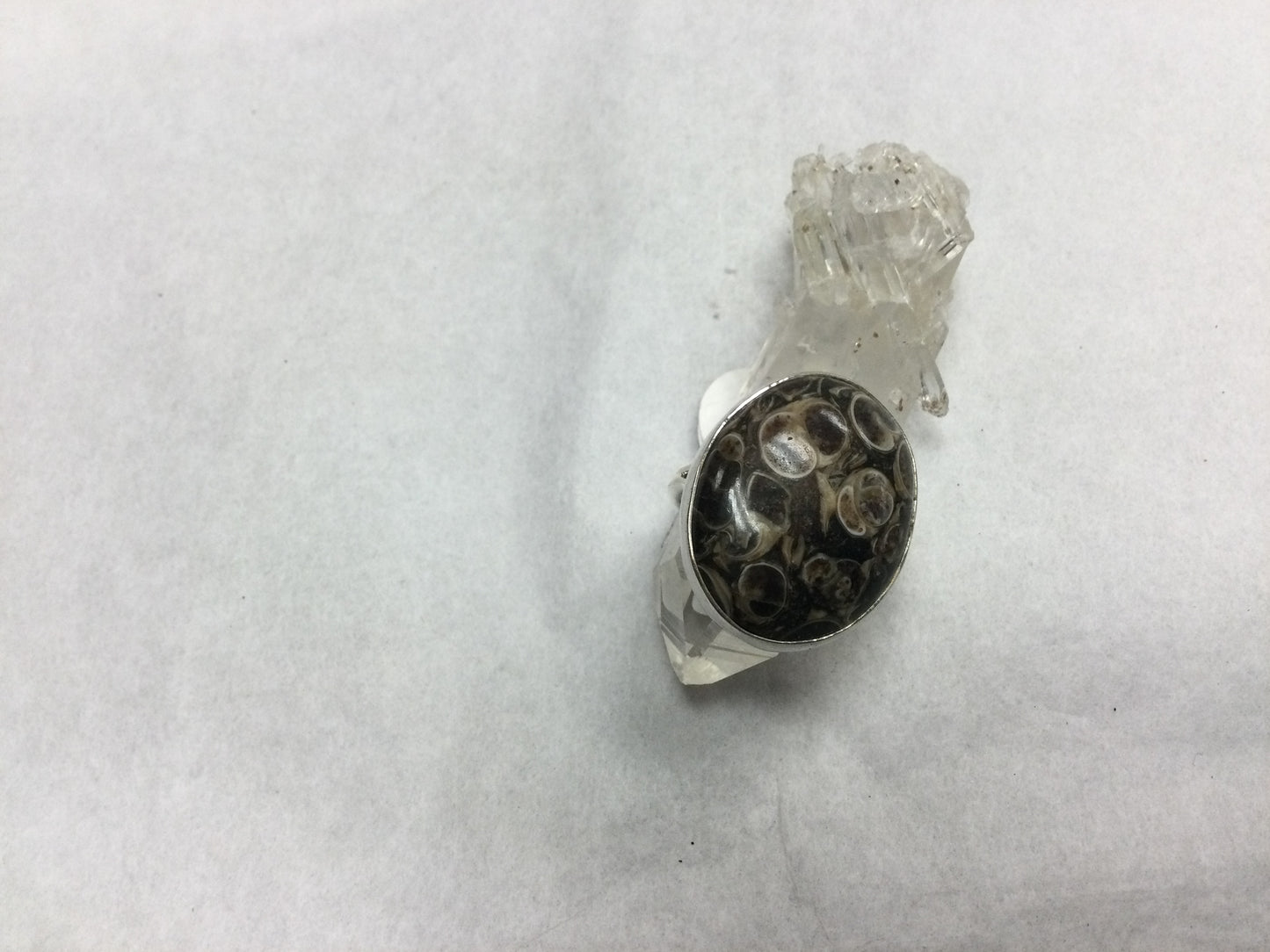 Turetella ring size 7