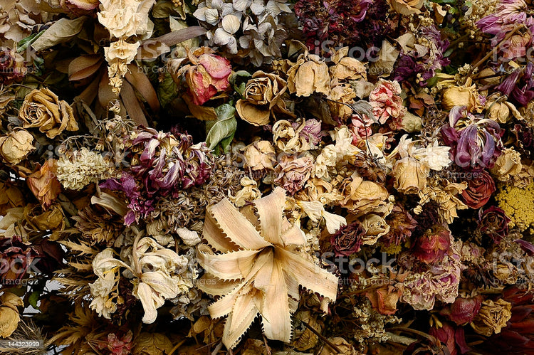 Dried Botanicals