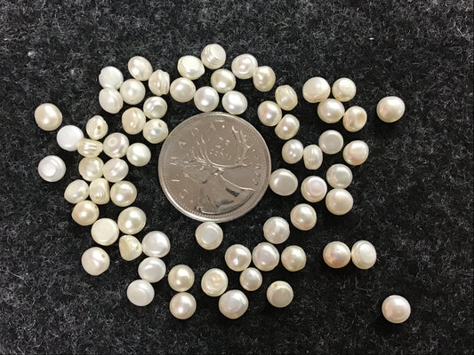 Potato pearl bead