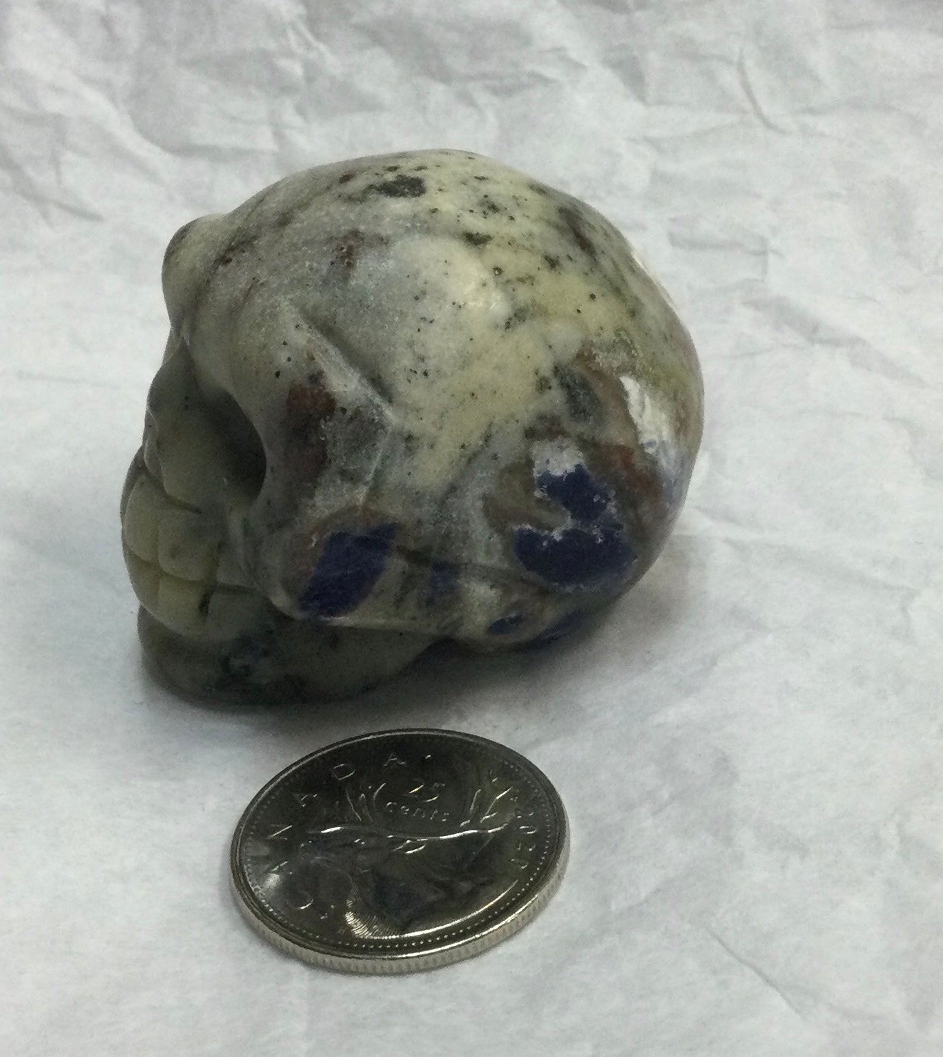 Sodalite in Matrix Skull