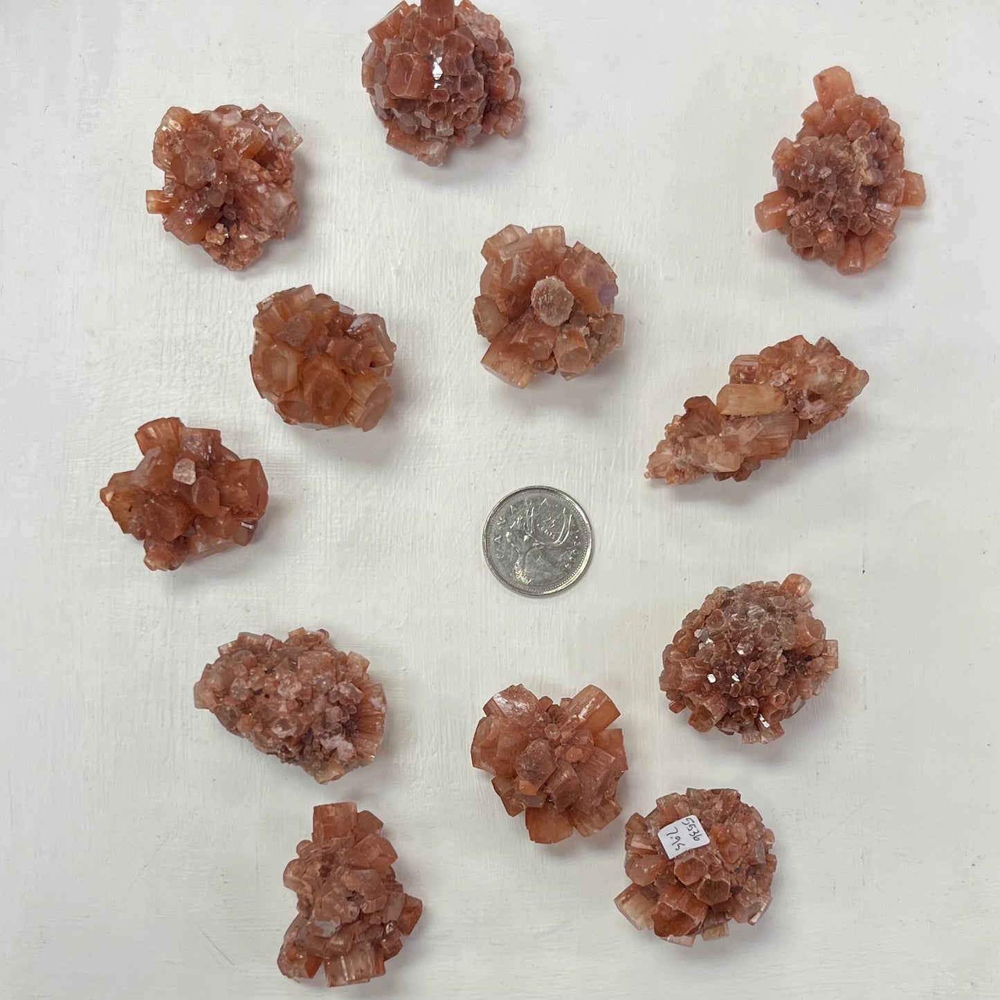 Star Aragonite