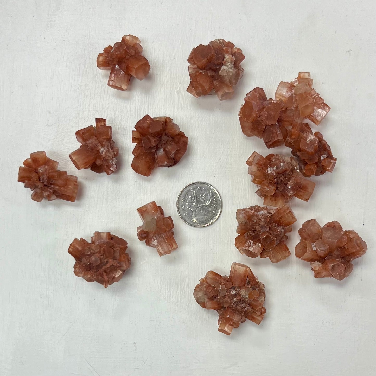 Star Aragonite