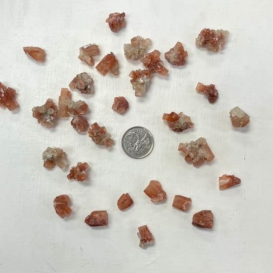 Star Aragonite