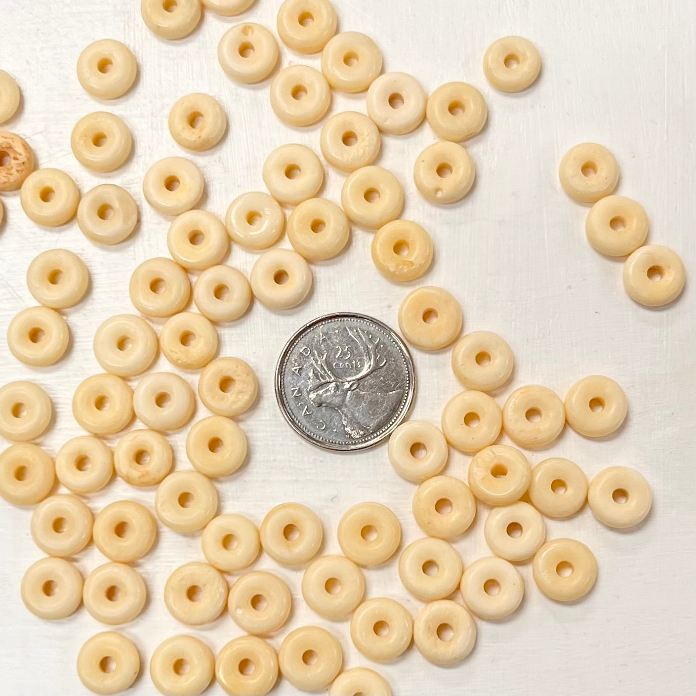 10mm Rondelle Yak Bone Beads