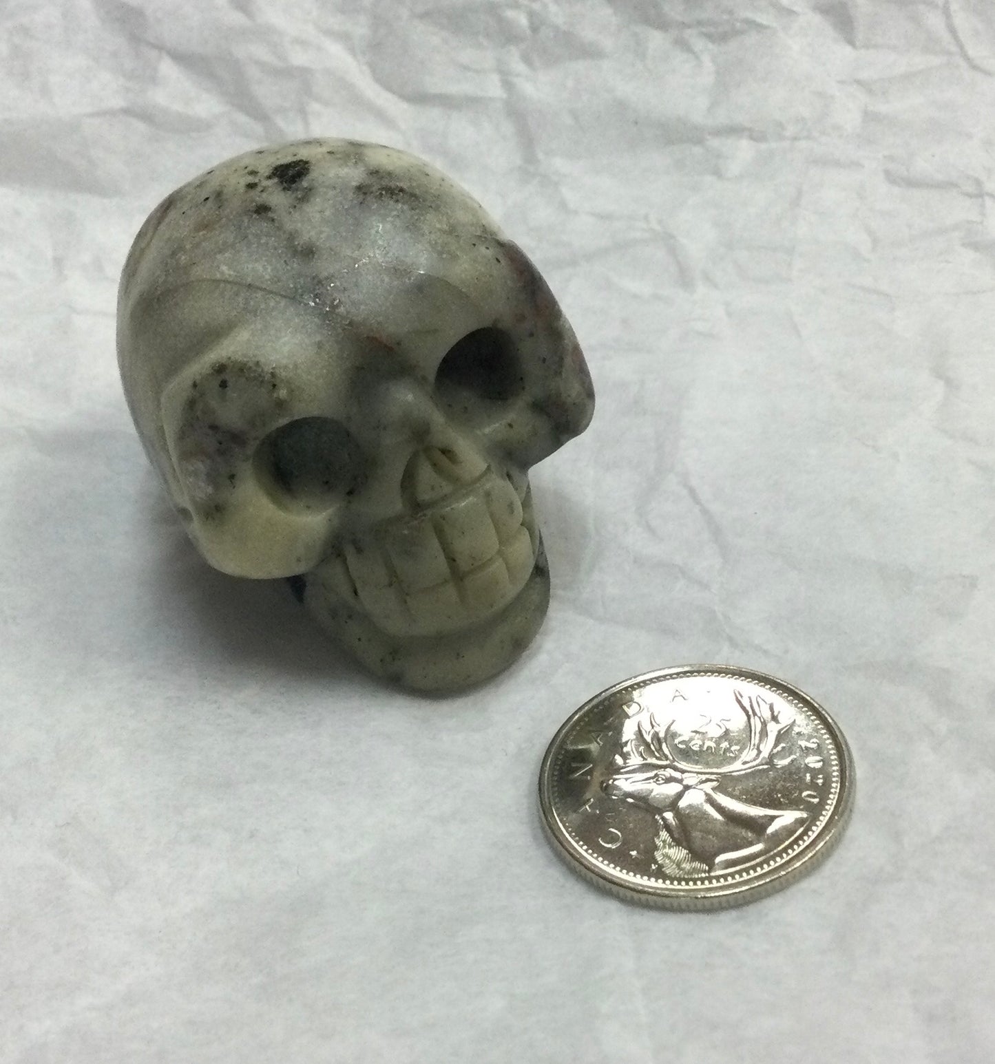 Sodalite in Matrix Skull