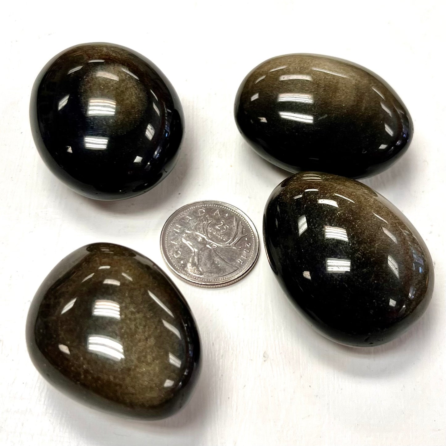 Gold Sheen Obsidian Large Tumbles / Palm Stones