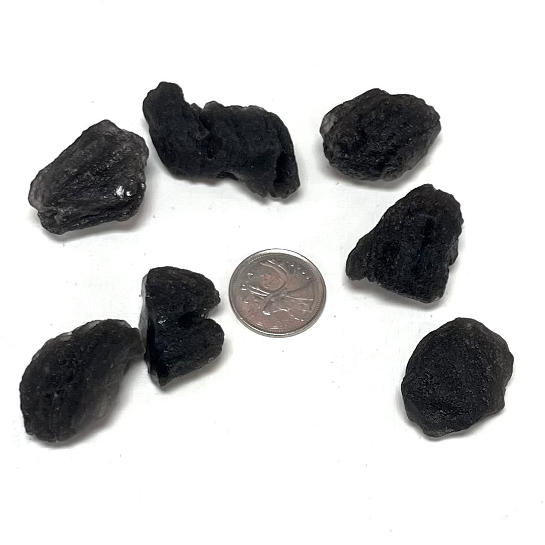 Small High-Grade Tektite Pieces (Czech)