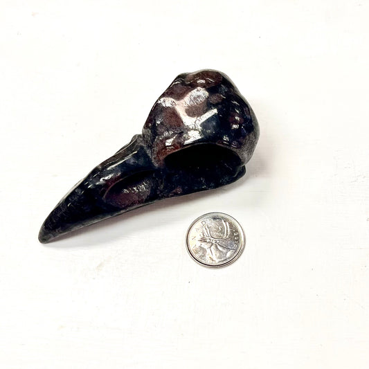 “Firework” Raven Skull