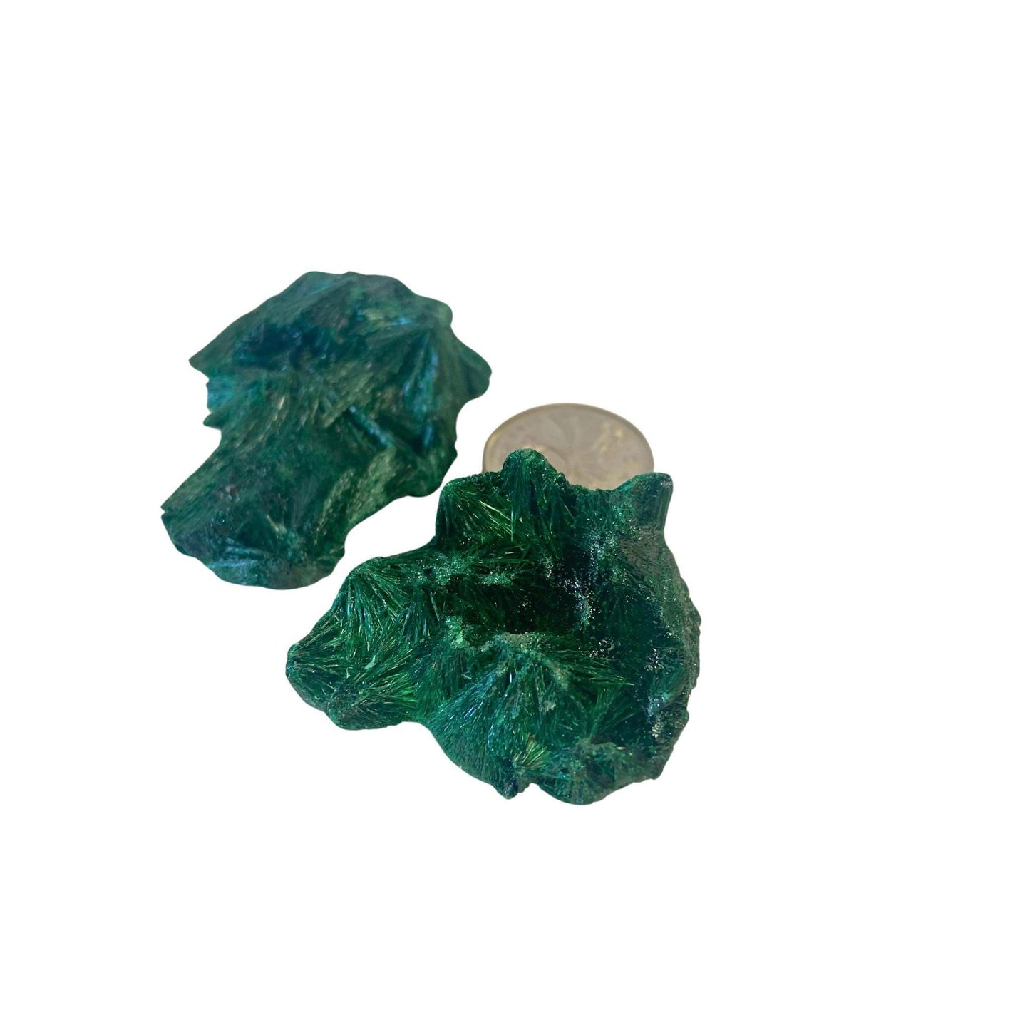 Velvet Malachite