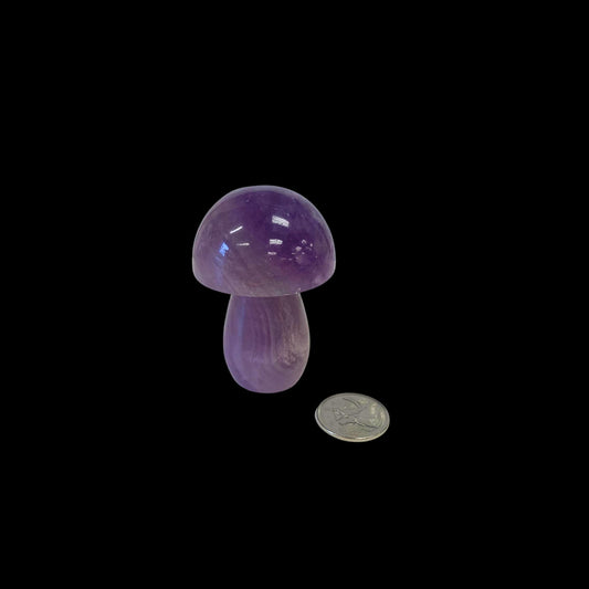 Fluorite Mushroom