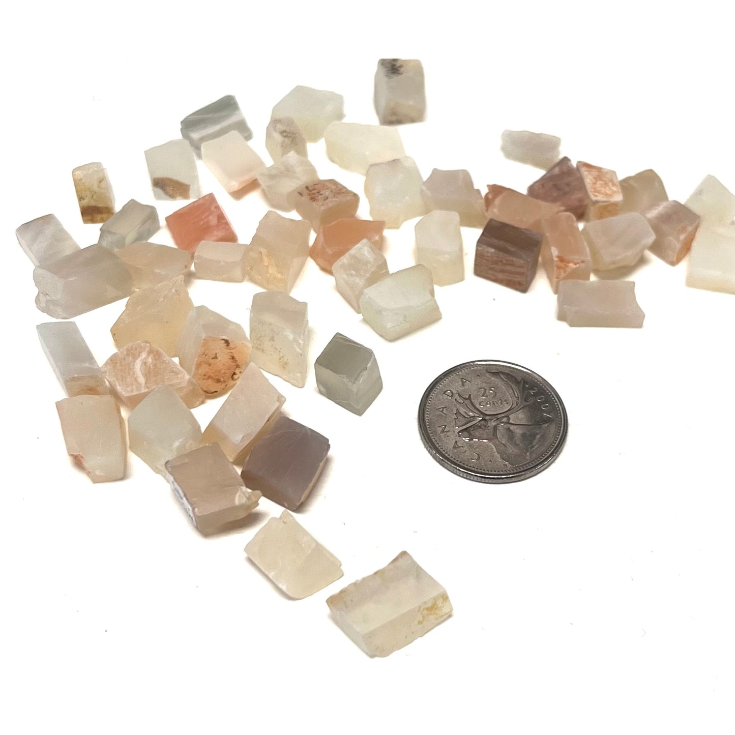 Earth Moonstone Chips