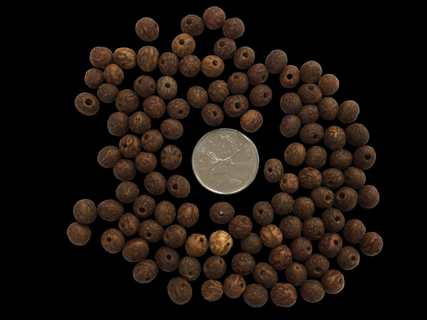 Bohdi Tree Beads