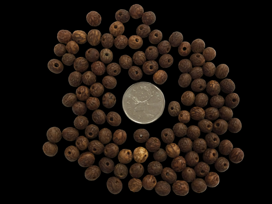 Bohdi Tree Beads