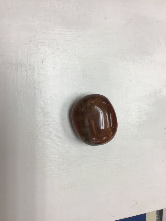 Petrified Wood palm stone