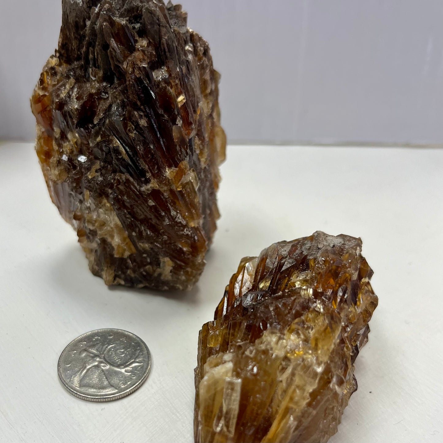 Needle Amber Calcite