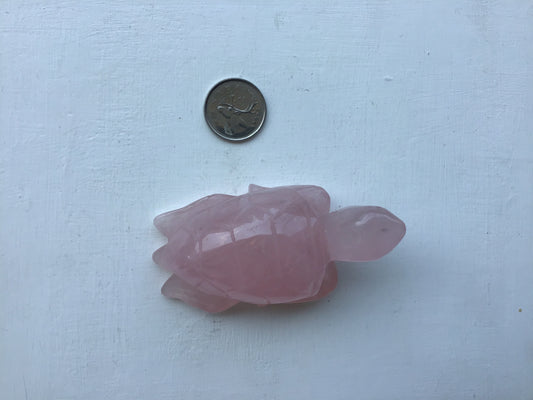 Rose Quartz Sea Turtle Carving
