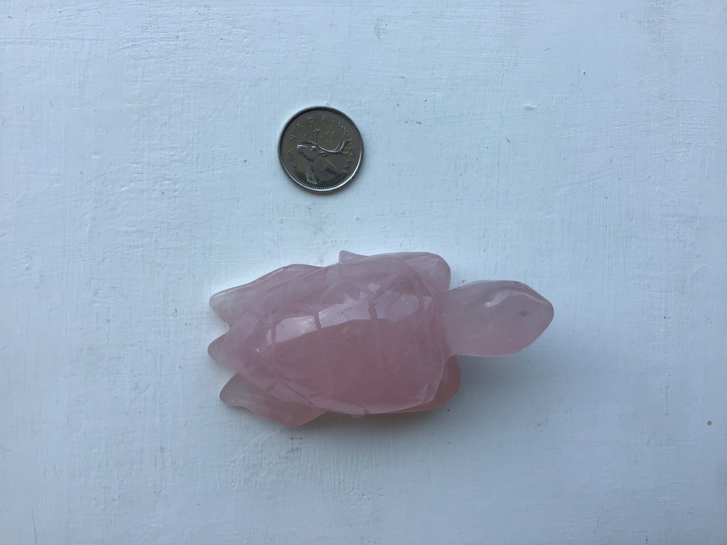 Rose Quartz Sea Turtle Carving