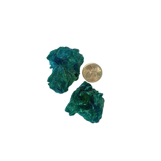 Velvet Malachite