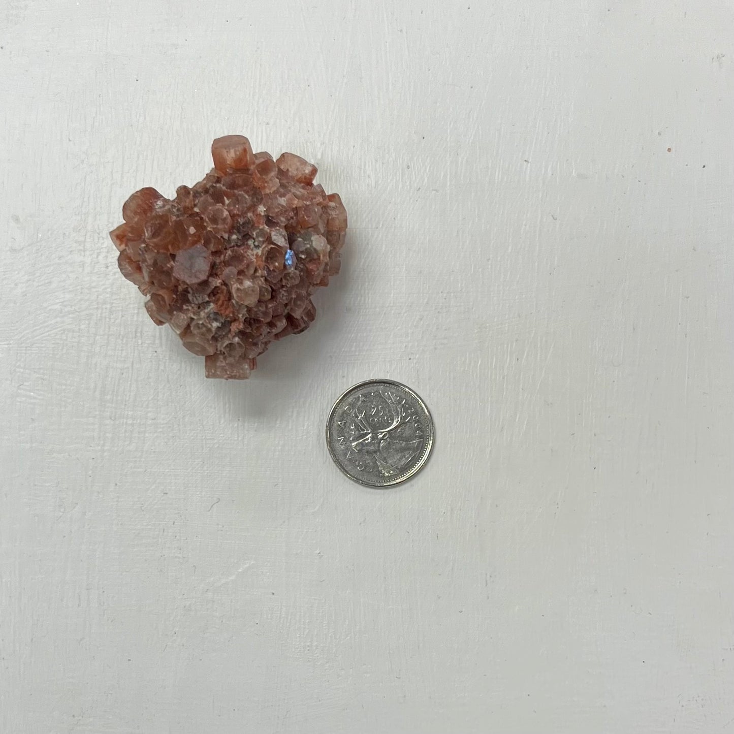 Star Aragonite