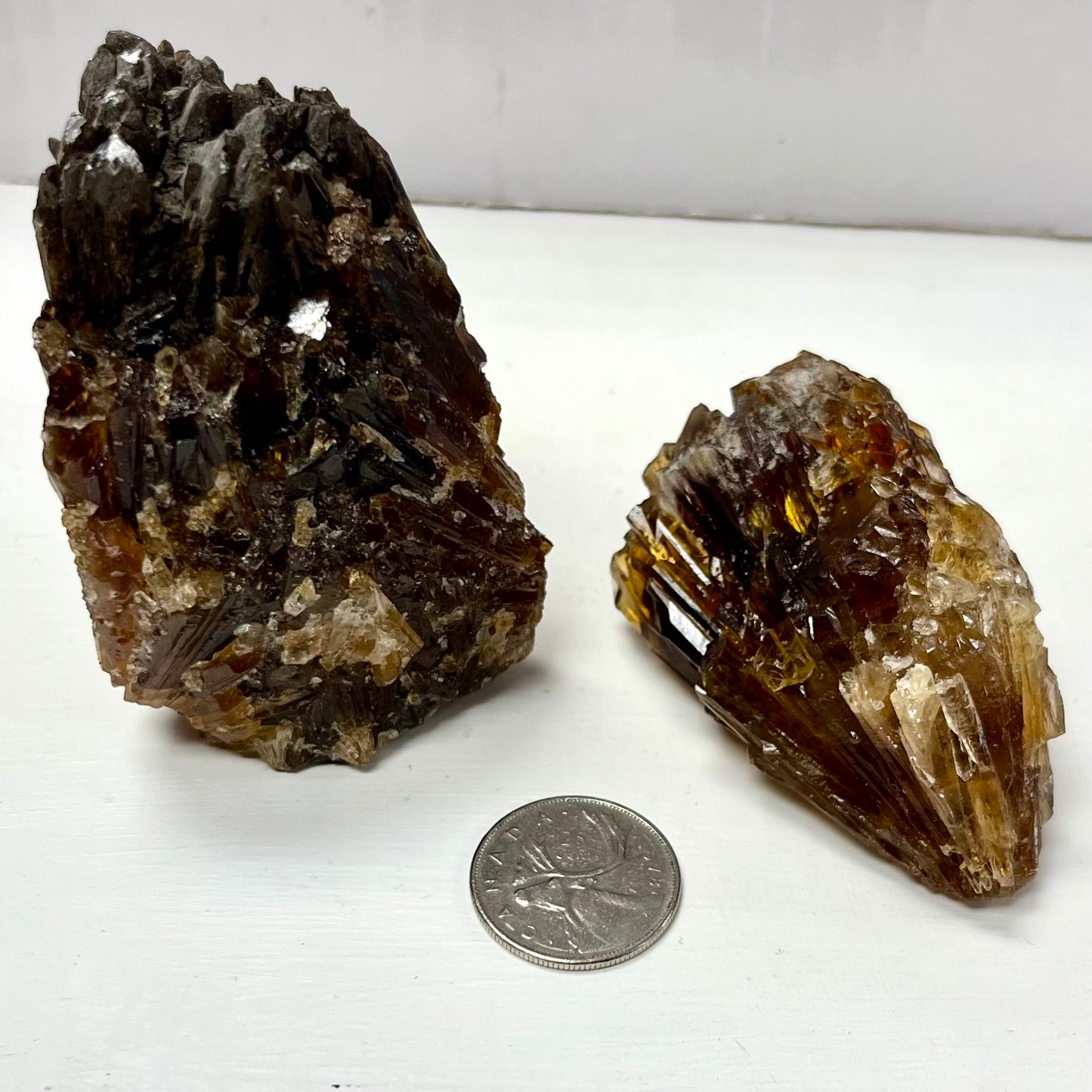 Needle Amber Calcite