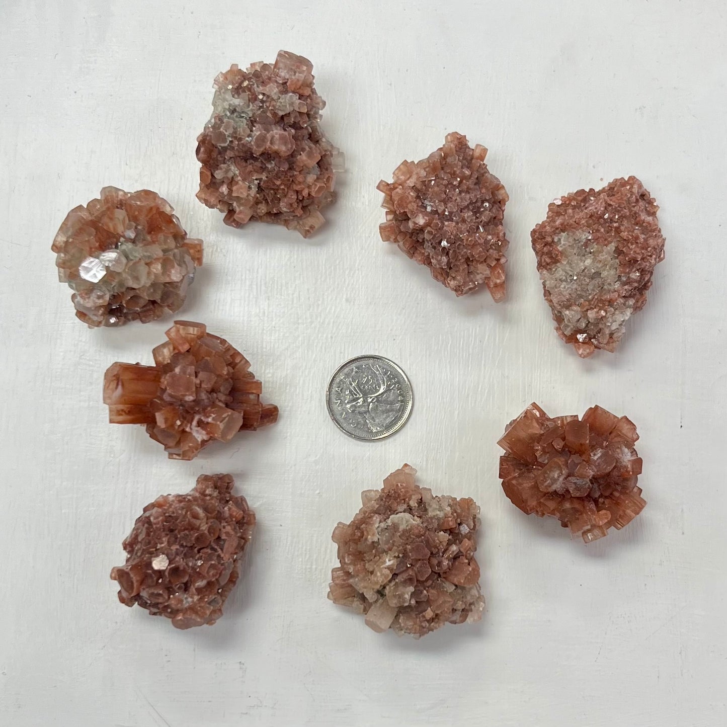 Star Aragonite