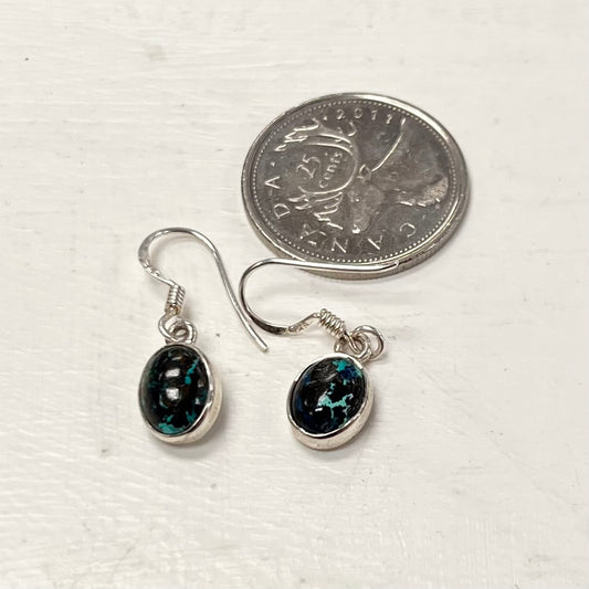 Oval Chrysocolla Dangle Earrings 10mm Set In Silver