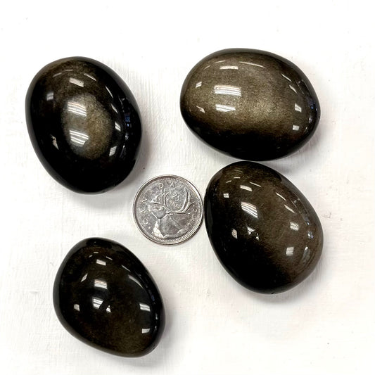 Gold Sheen Obsidian Large Tumbles / Palm Stones