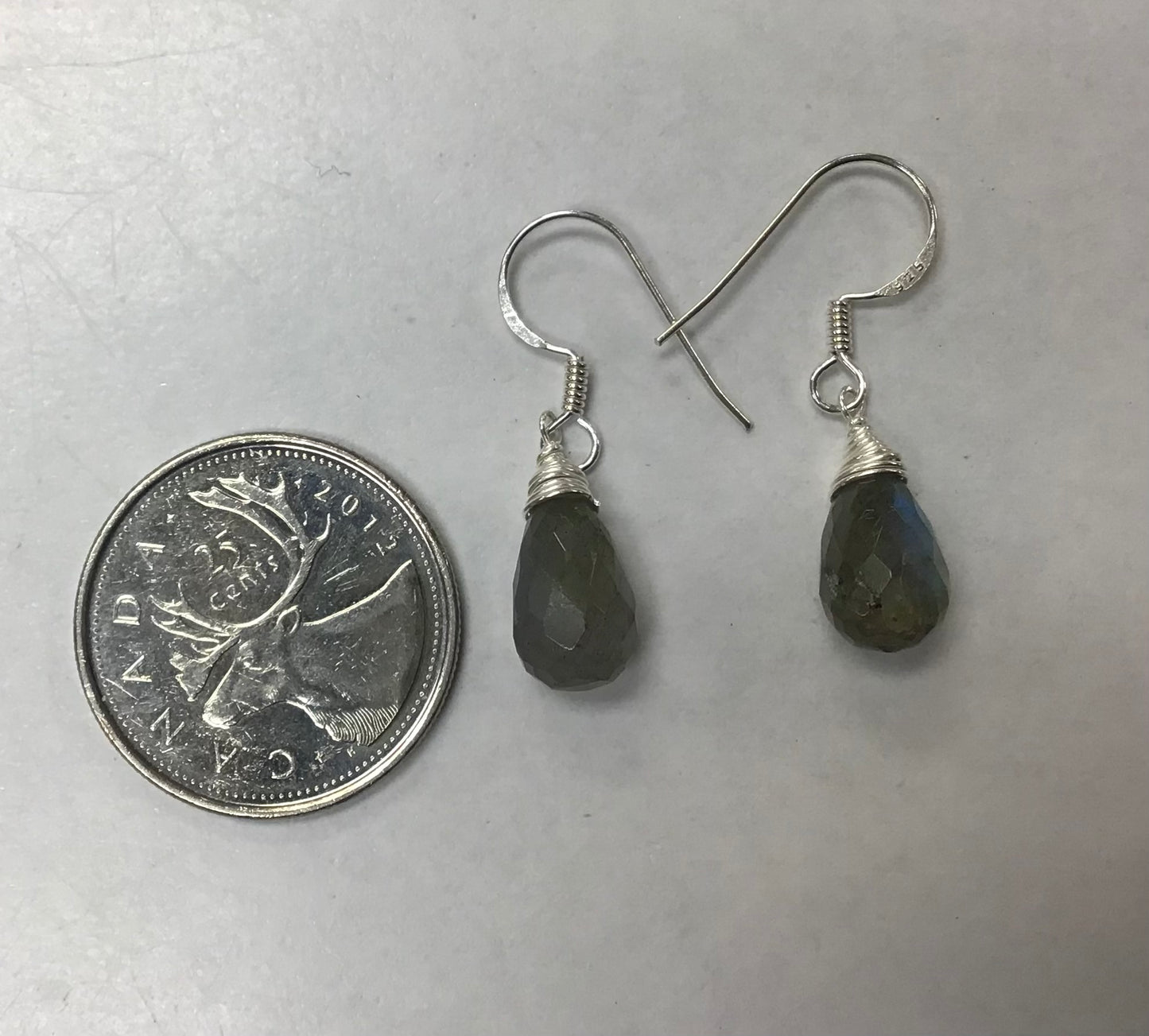 Faceted Drop Labradorite Dangle Earrings