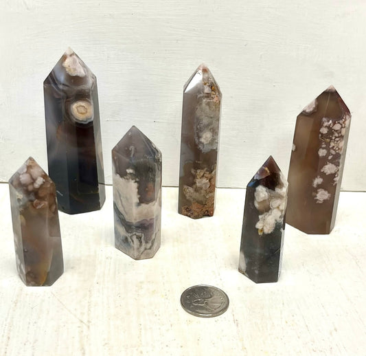 Black Flower Agate Points