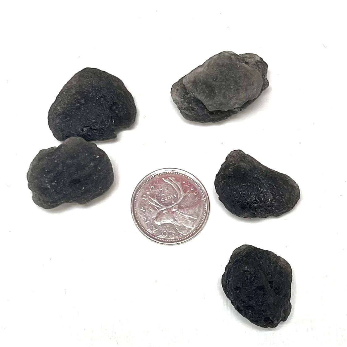 Small High-Grade Tektite Pieces (Czech)