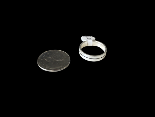 Simple Silver Band Ring with Black Line
