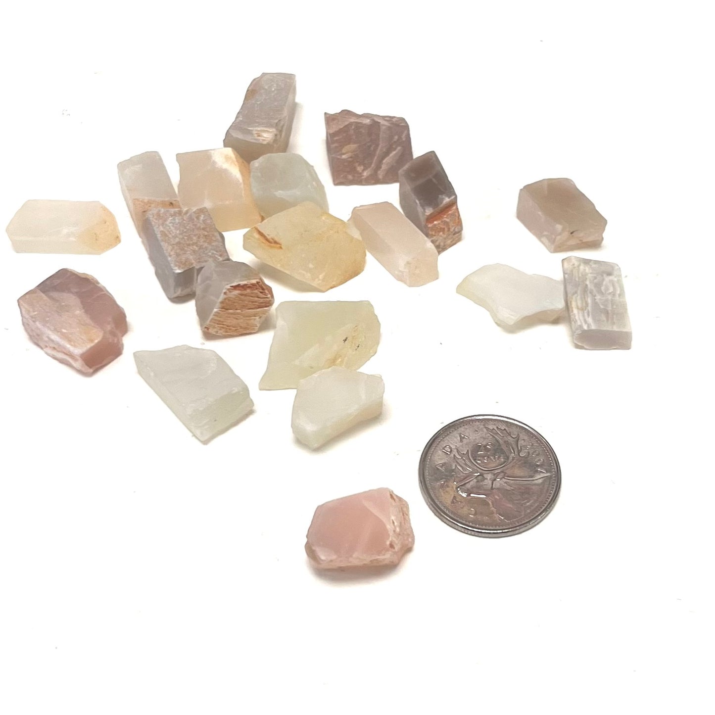 Earth Moonstone Chips