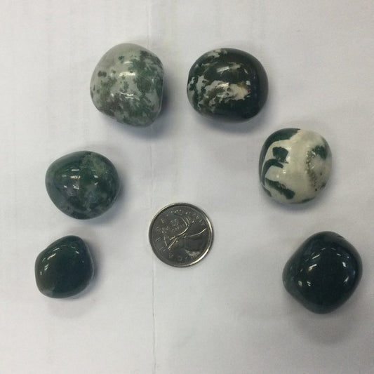 Moss Agate Tumbles (Larger Tumbles)