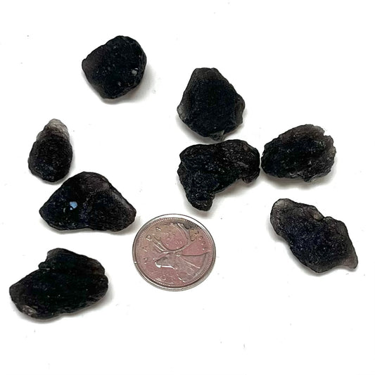 Small High-Grade Tektite Pieces (Czech)