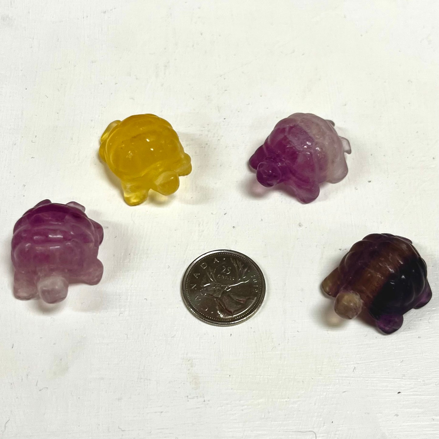 Fluorite Turtles