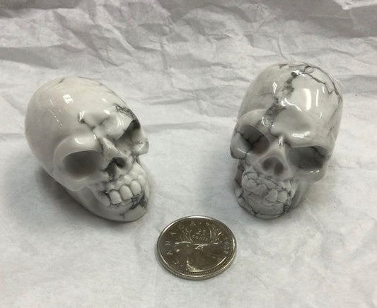 Howlite Skull