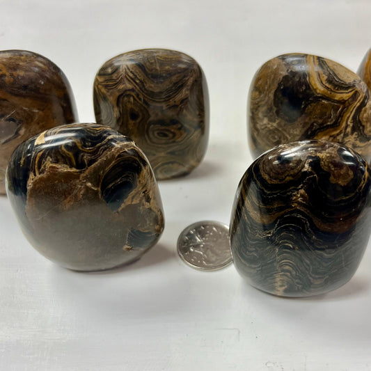 Stromatolite Freeforms