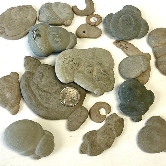 Fairy Stones (Fossil Concretions)