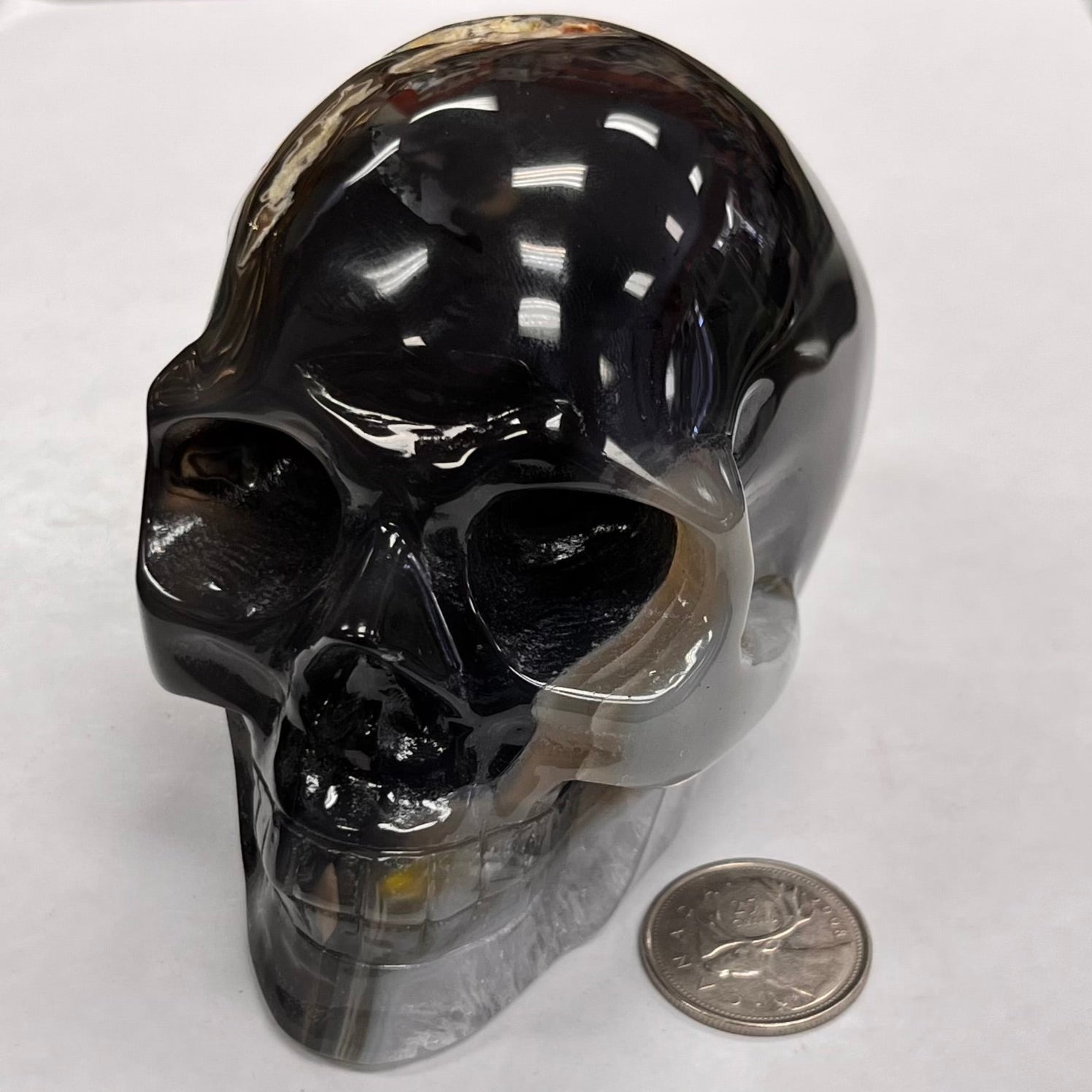 Black skull-shaped object next to a coin on a white background