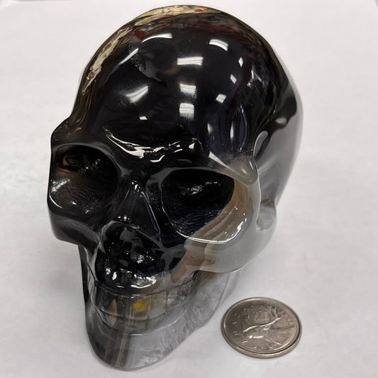 Black skull-shaped object next to a coin on a white background