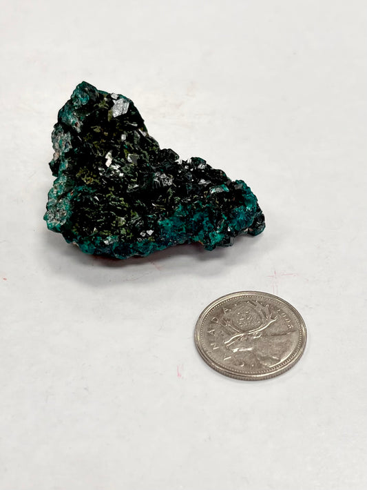 Dioptase Specimen 44g