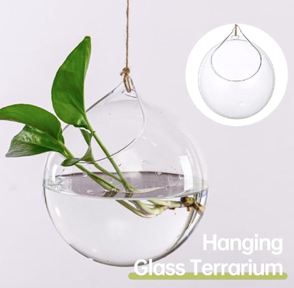 Hanging Terrarium with Yute String – Planet Botanix Ottawa
