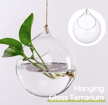 Hanging Terrarium with Yute String